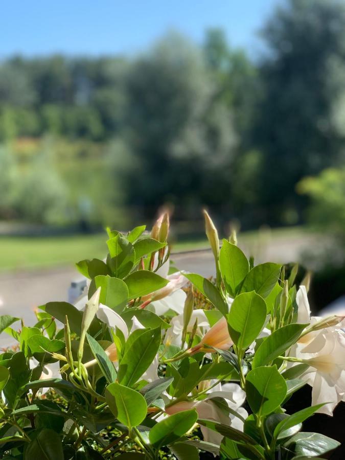 Cameracaffe Sul Lago Arezzo Bagian luar foto